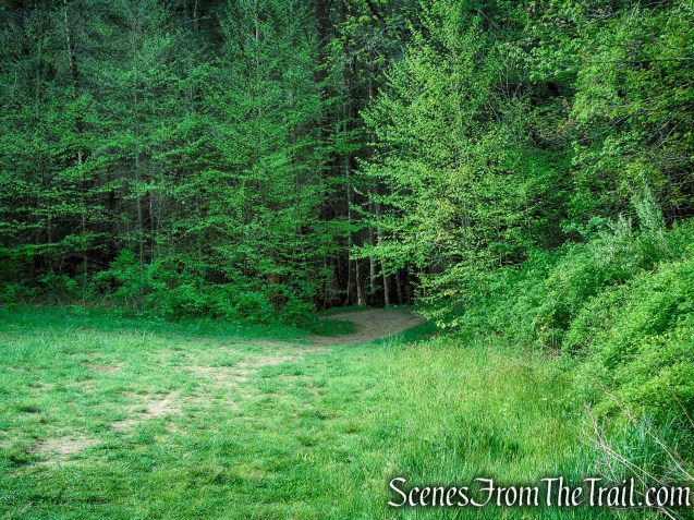 Nonnewaug Falls Open Space Preserve