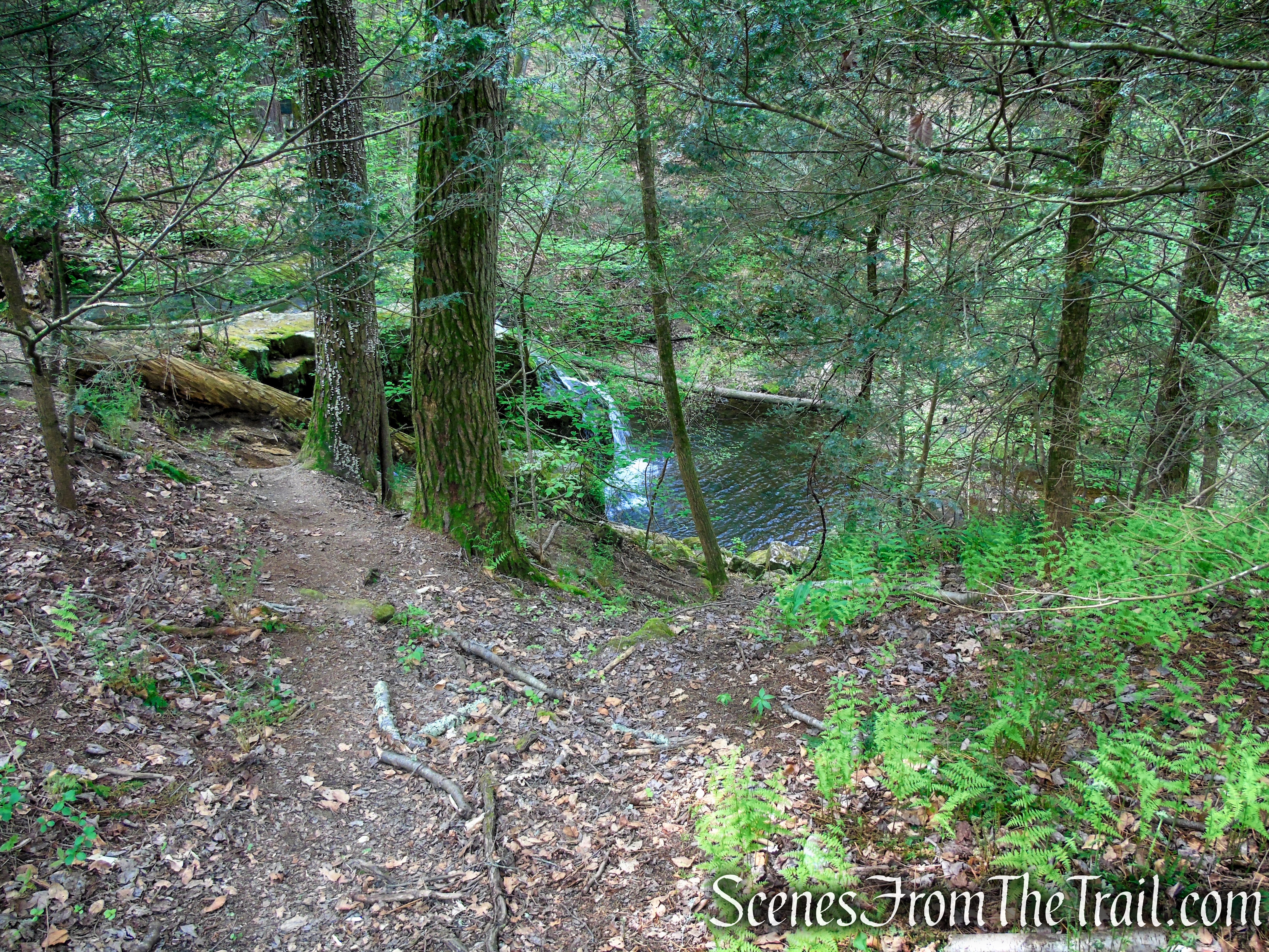 Nonnewaug Falls Open Space Preserve