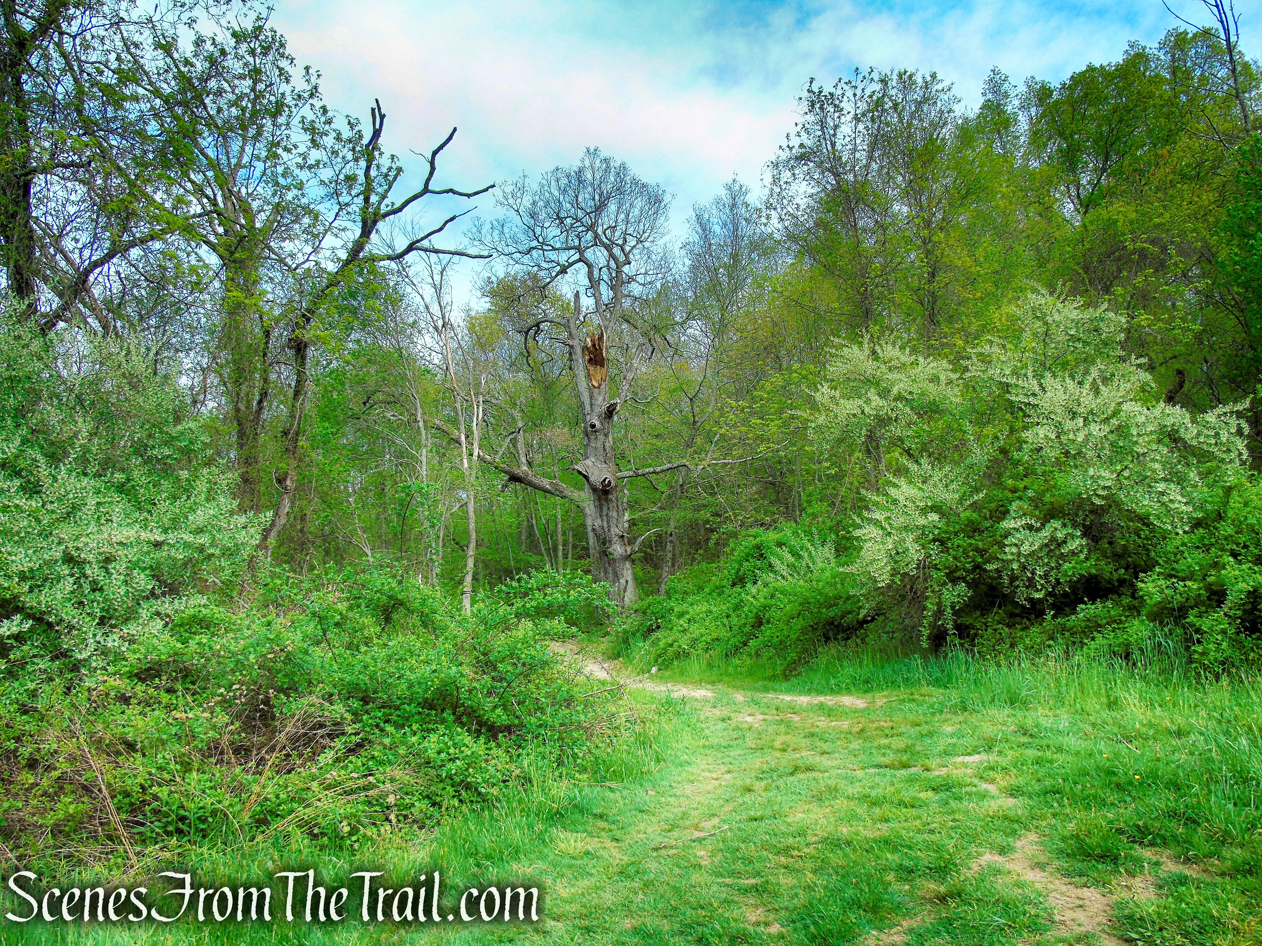 Nonnewaug Falls Open Space Preserve