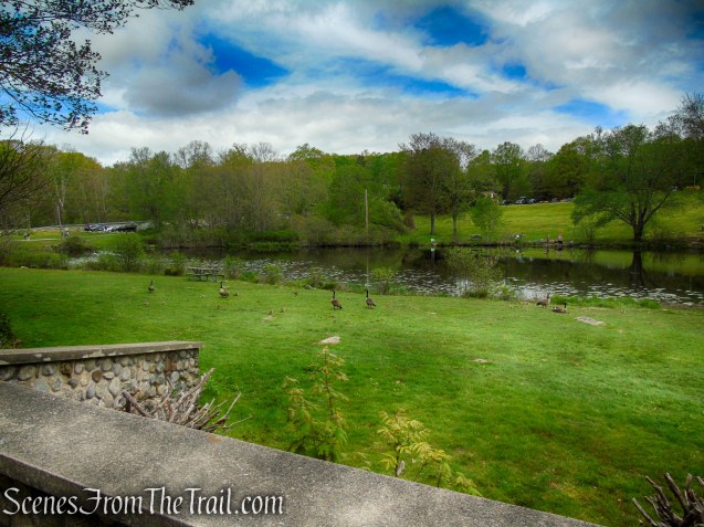 view of Papermill Pond from picnic pavilion