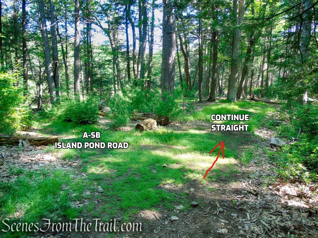 Continue straight on the woods road