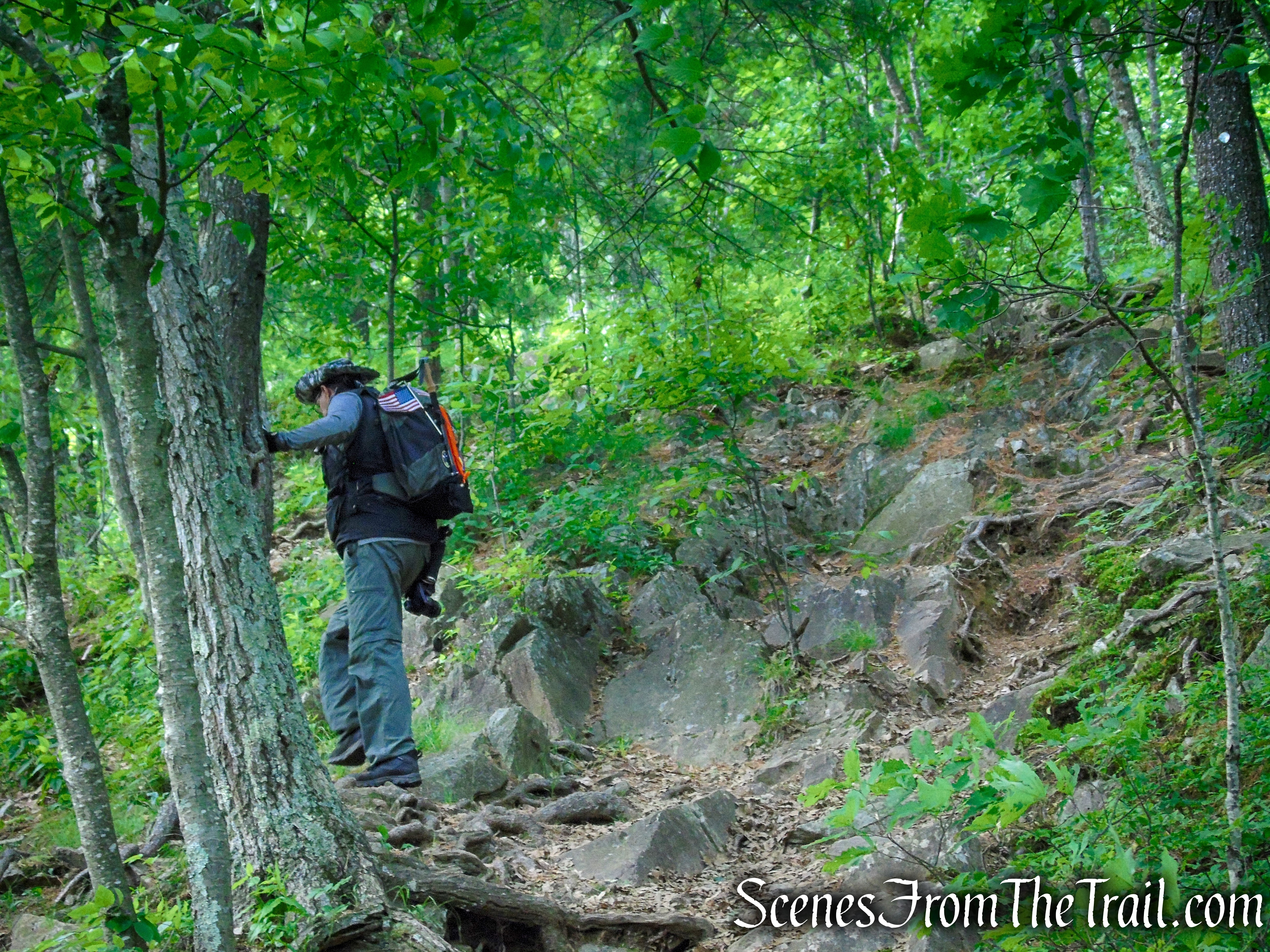 Orange Trail – Stissing Mountain