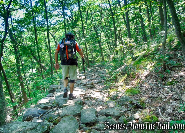 Undercliff Trail - Bull Hill