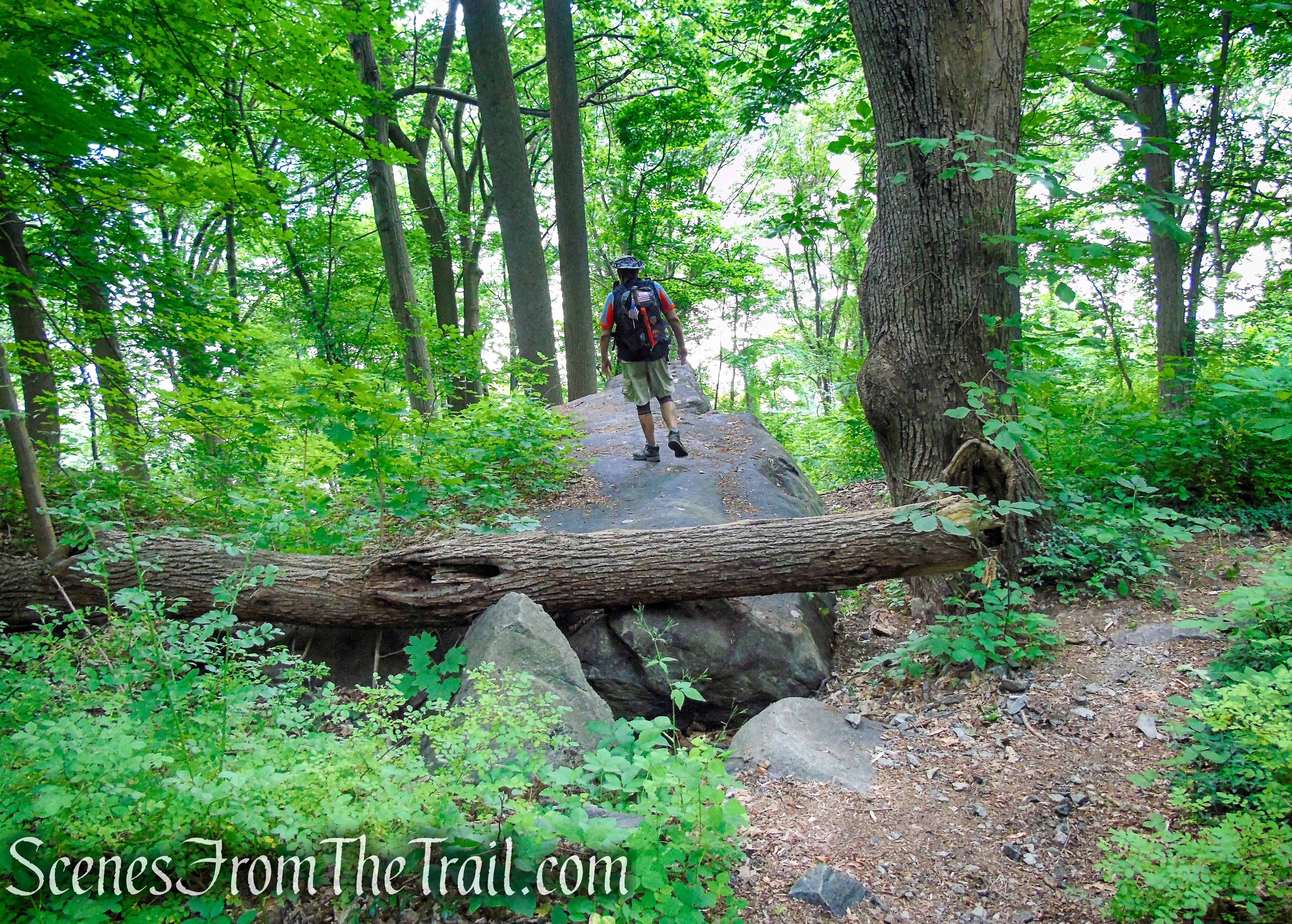 Cornish Trail - Bull Hill