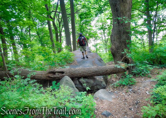 Cornish Trail - Bull Hill