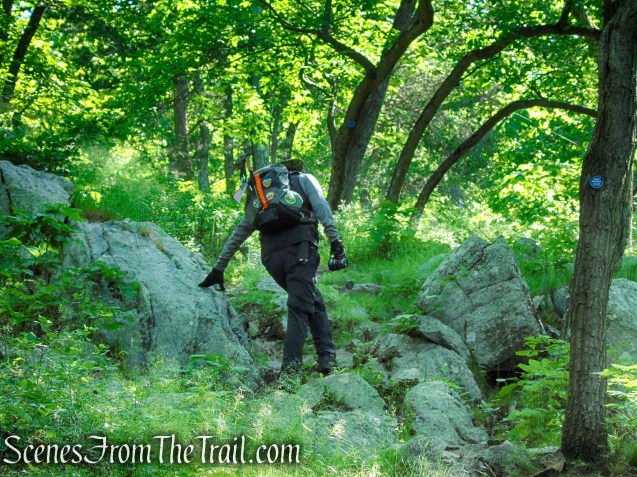 Round Hill Loop – Fahnestock State Park