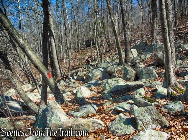 Red Trail - Back Pond - Tarrywile Park