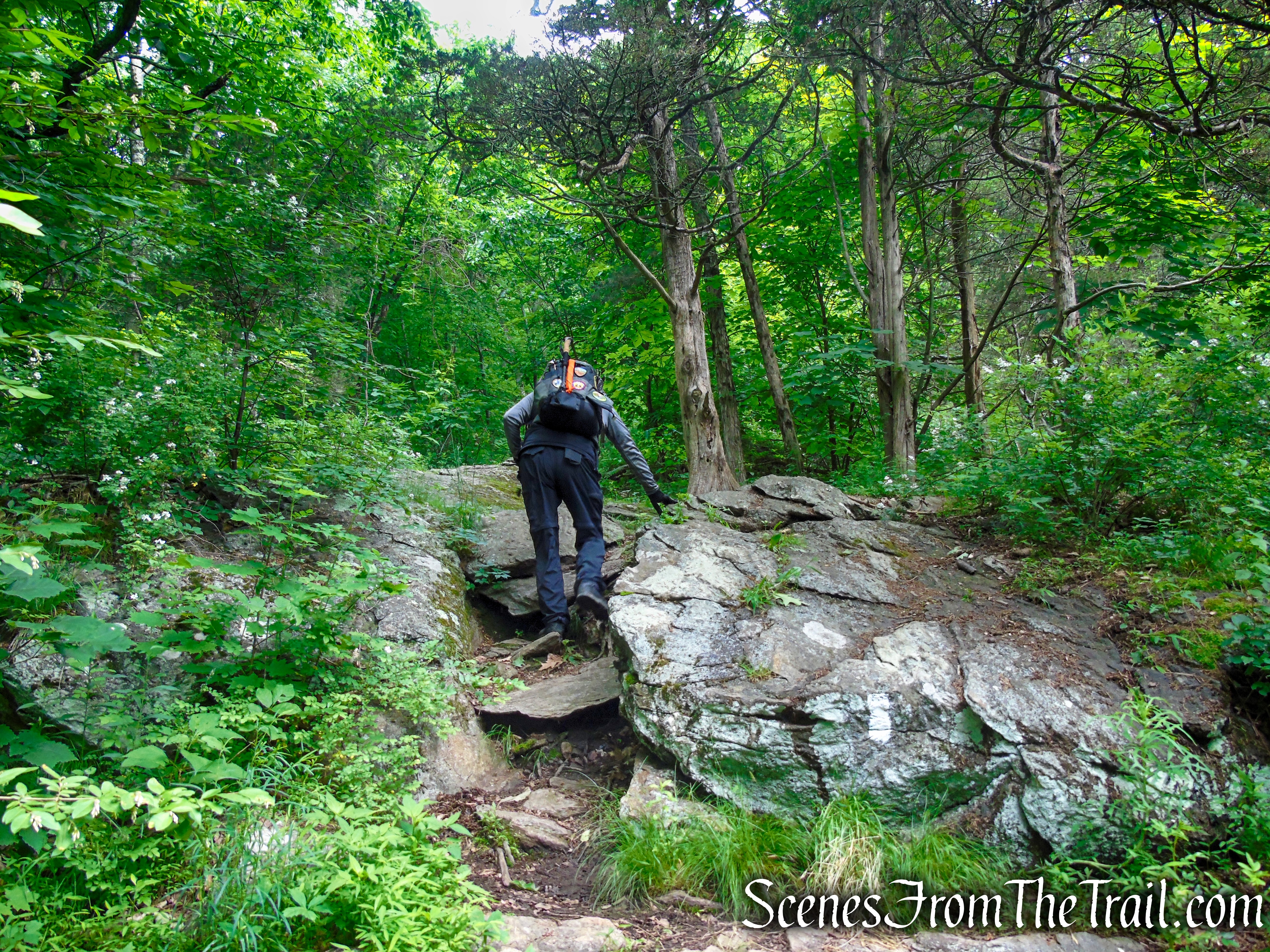 Appalachian Trail - Pawling, NY