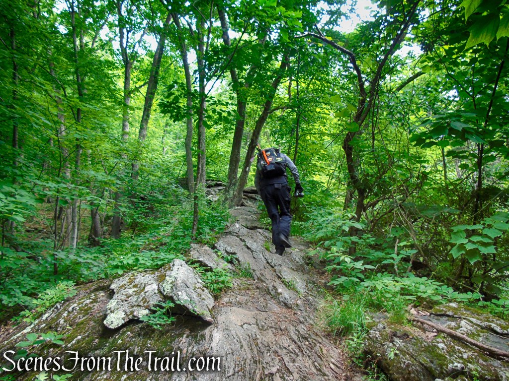 Cat Rocks Pawling, NY