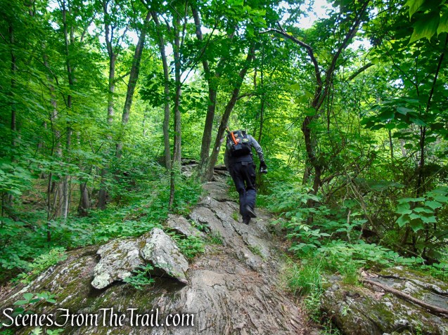 Appalachian Trail - Pawling, NY