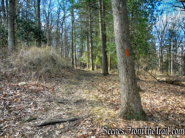Orange Trail - Tarrywile Park