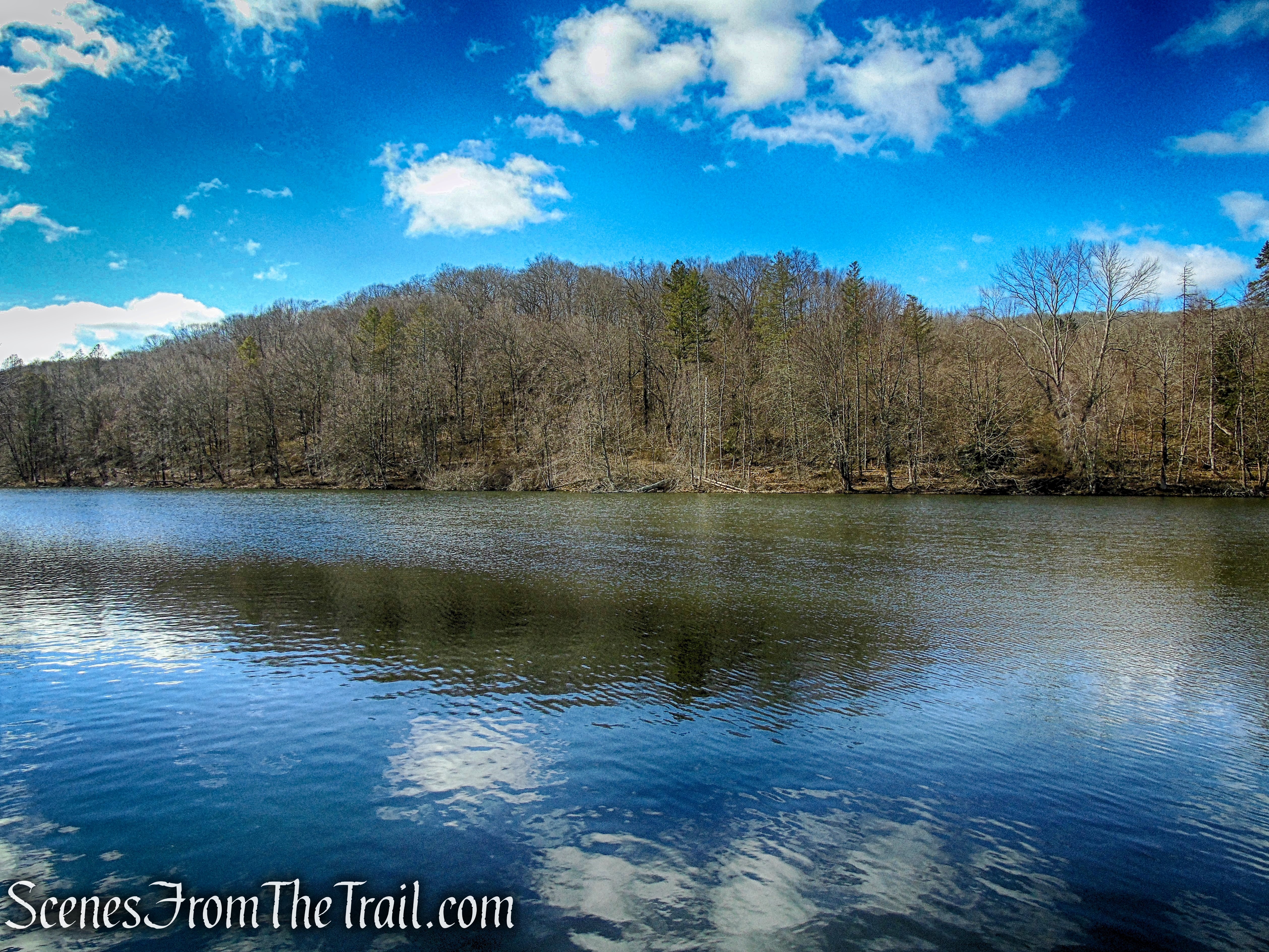 Parks Pond - Tarrywile Park