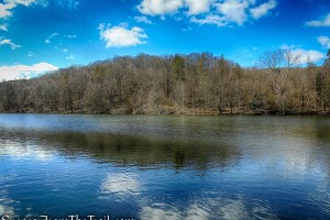 Parks Pond - Tarrywile Park