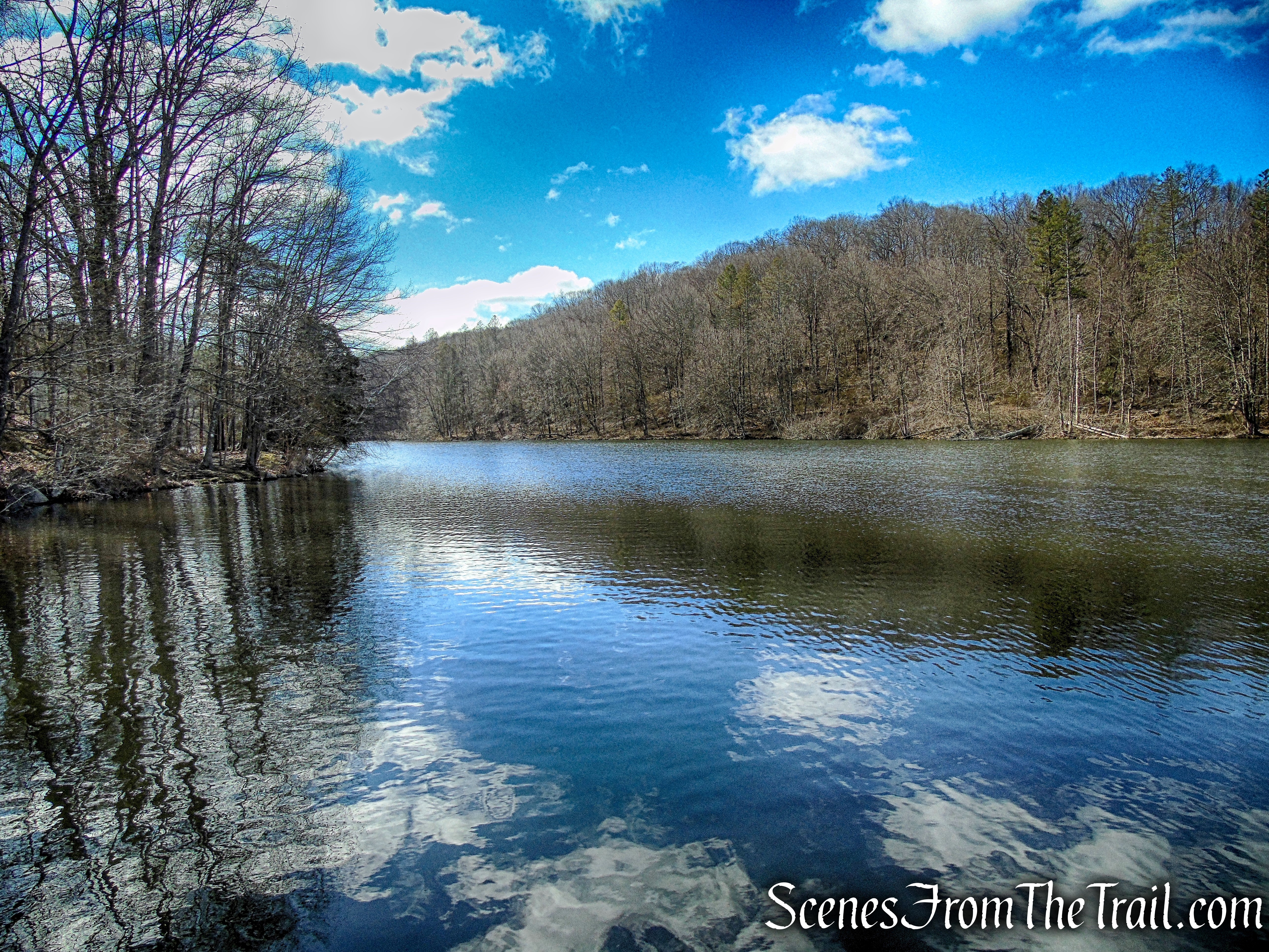 Parks Pond - Tarrywile Park