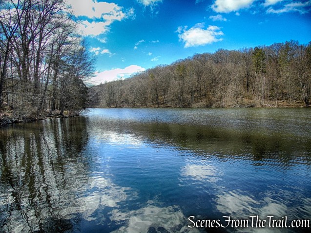 Parks Pond - Tarrywile Park