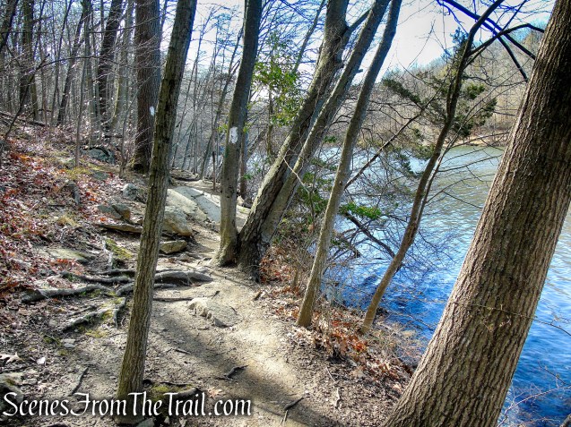 Parks Pond - Tarrywile Park