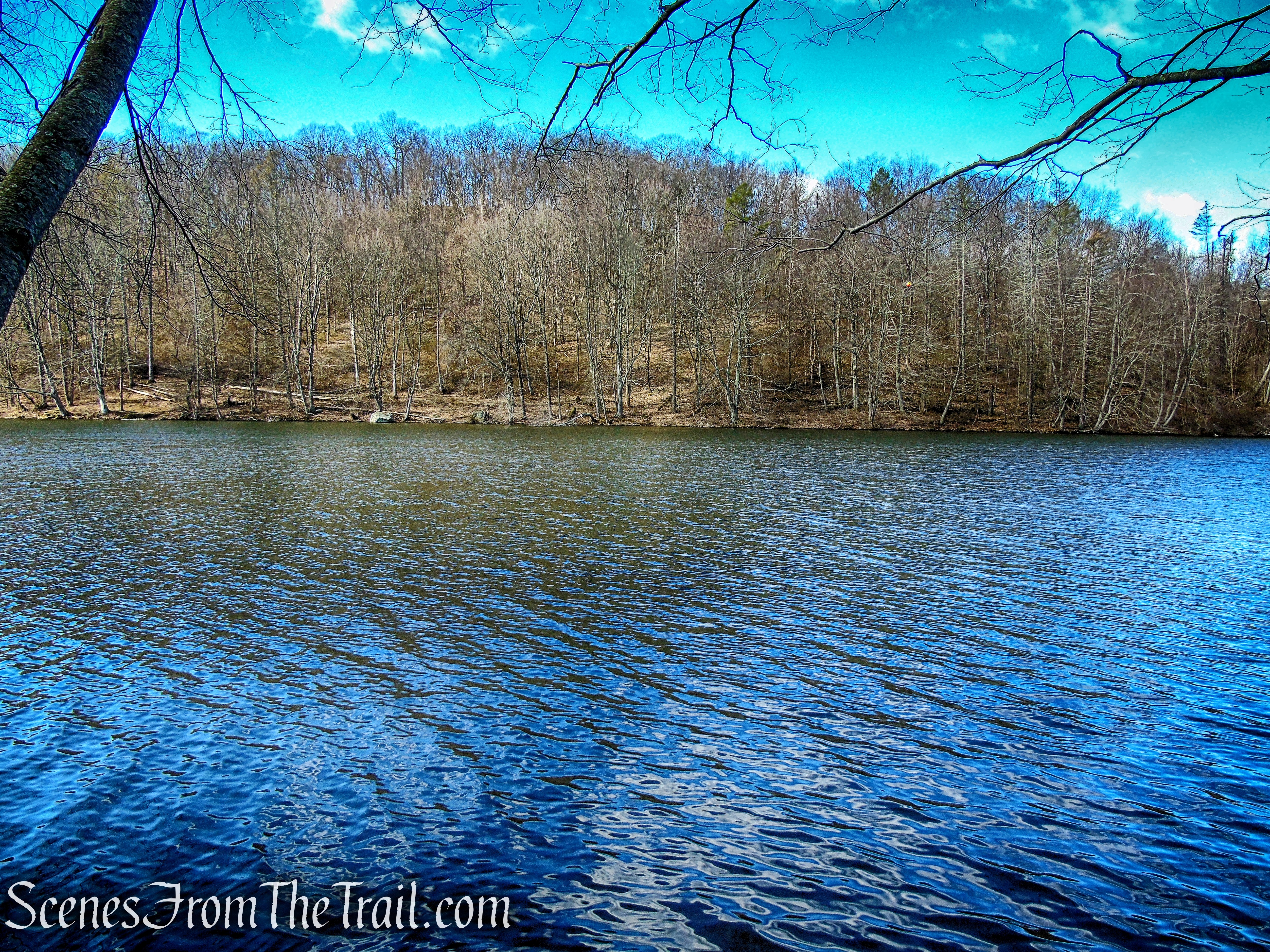 Parks Pond - Tarrywile Park