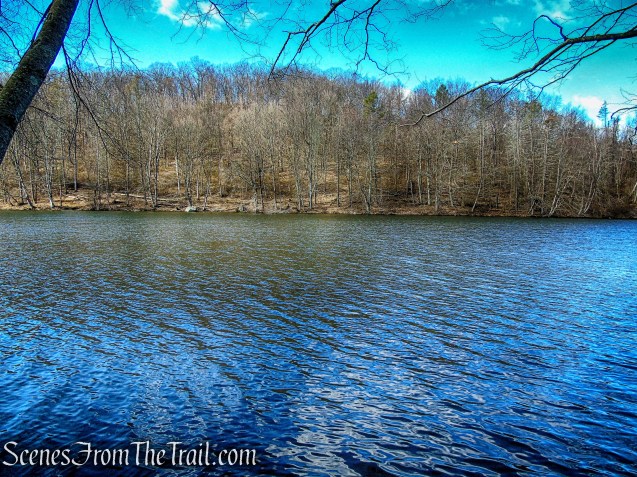 Parks Pond - Tarrywile Park