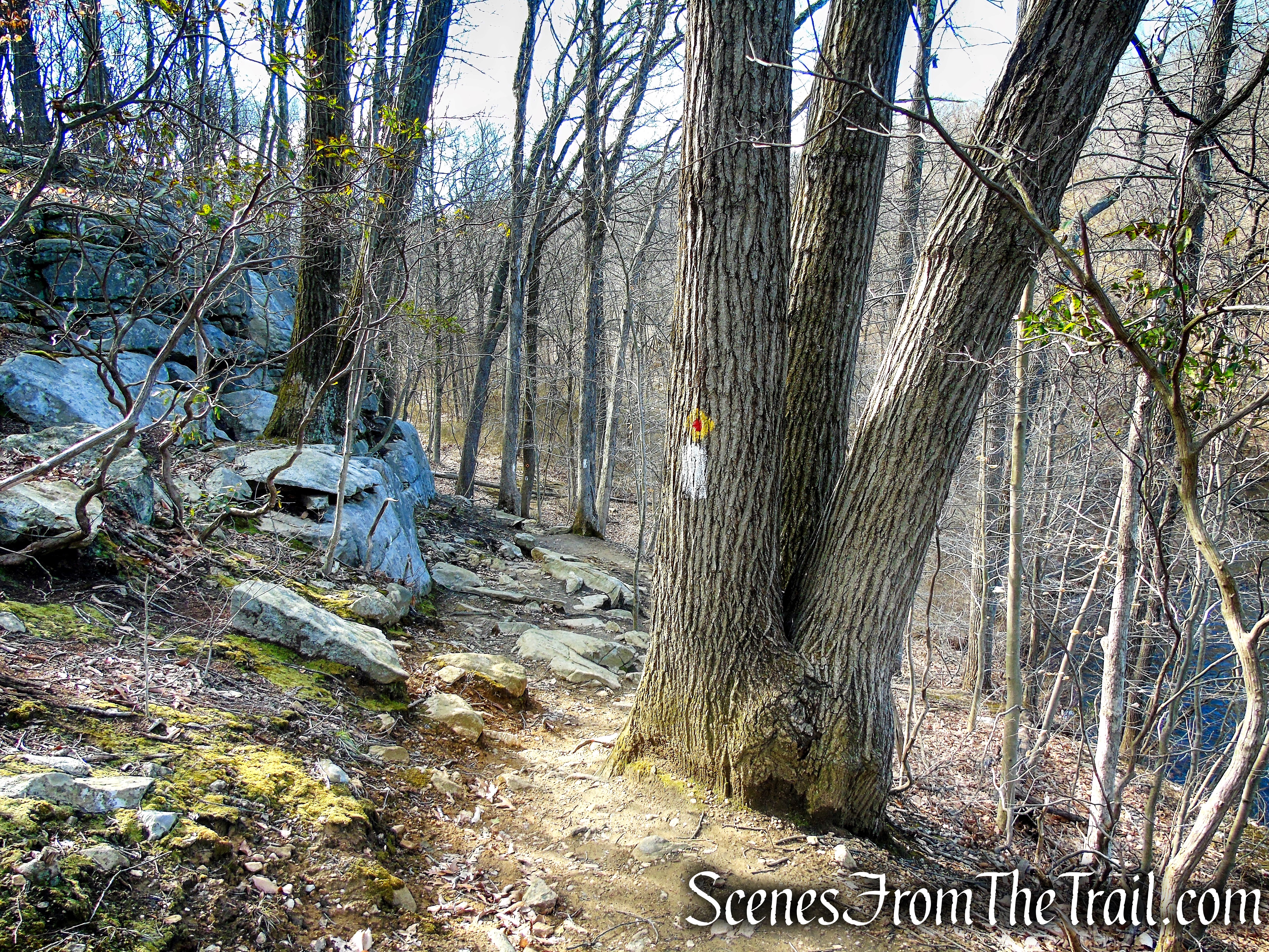 White Trail - Parks Pond
