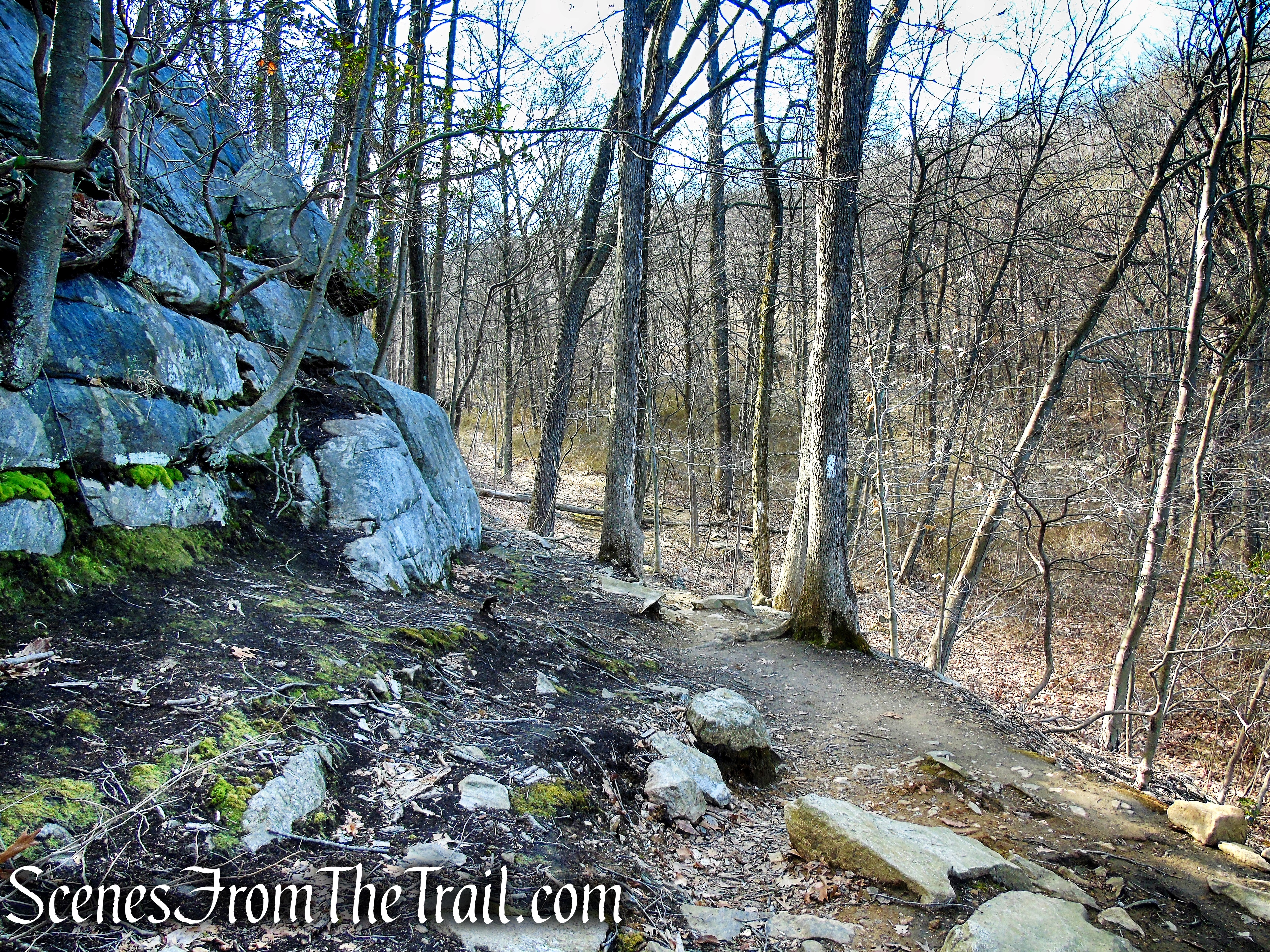 White Trail - Parks Pond