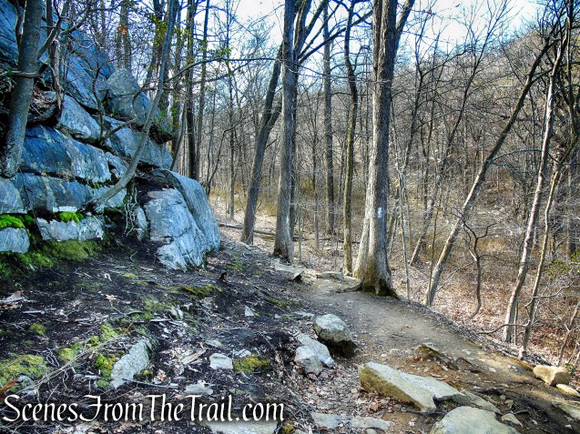 White Trail - Parks Pond