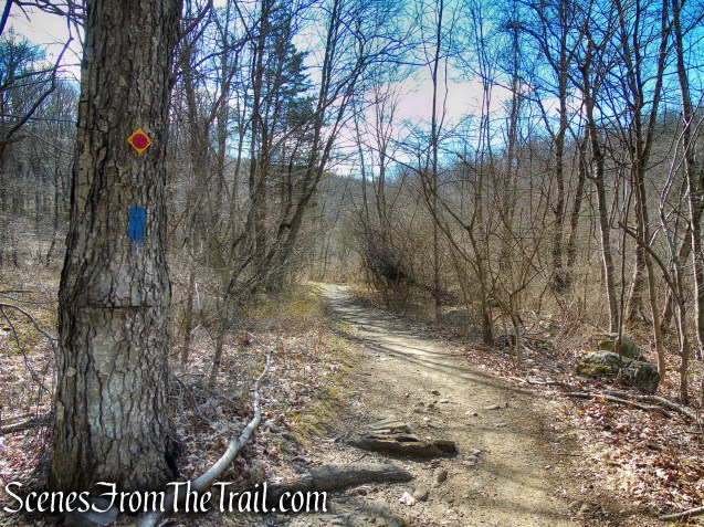Blue Trail - Tarrywile Park