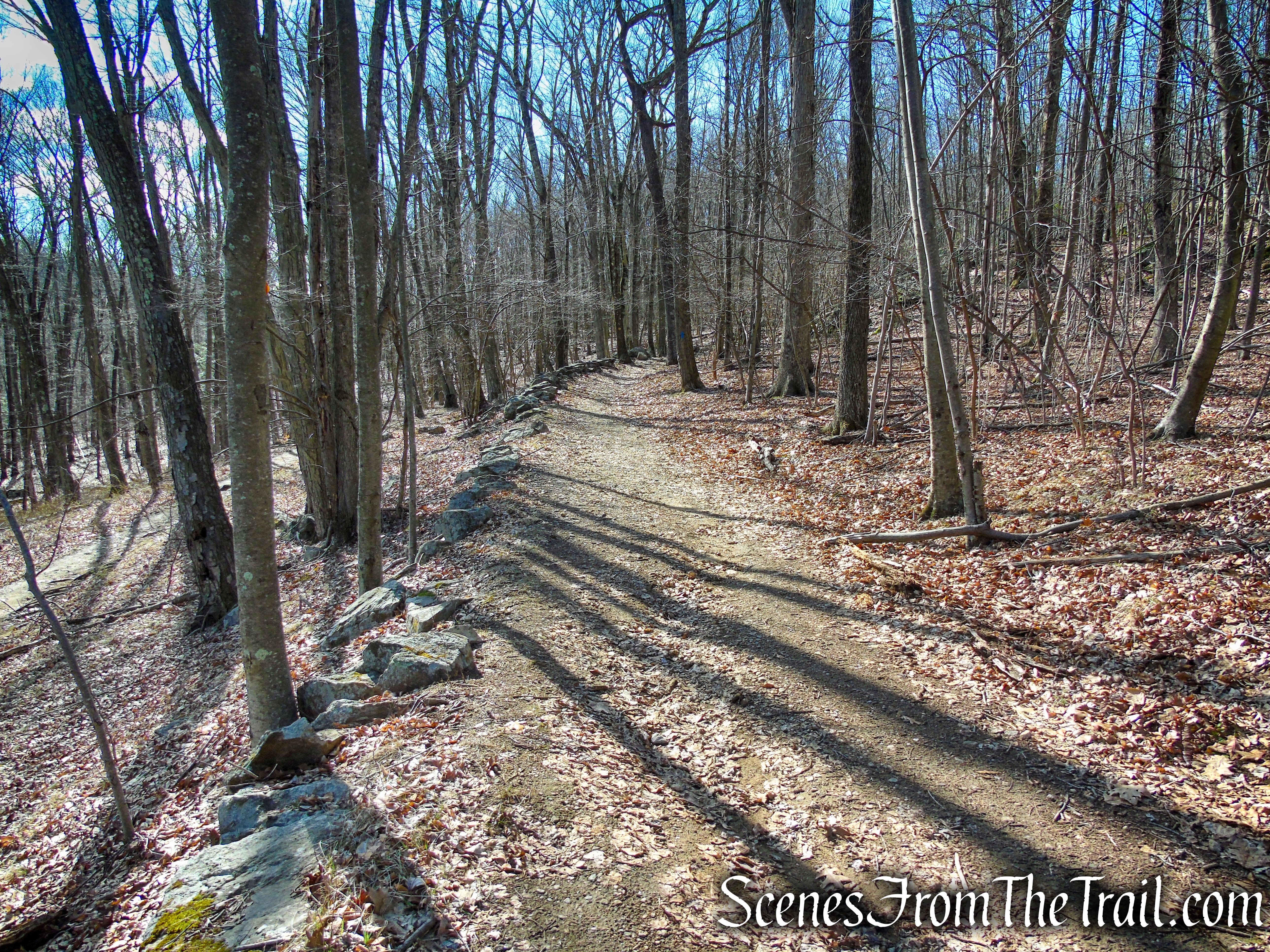 Blue Trail - Tarrywile Park