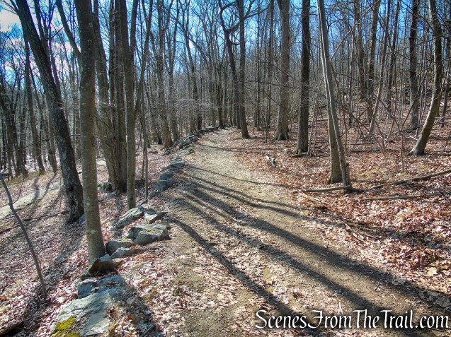 Blue Trail - Tarrywile Park
