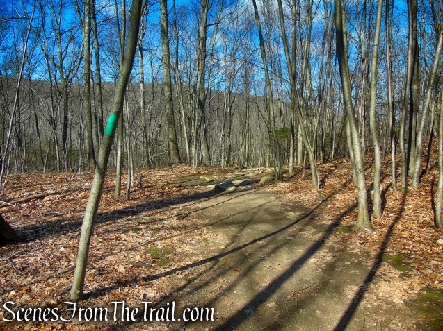 Green Trail - Tarrywile Park