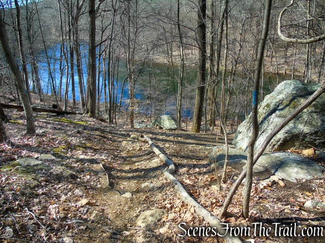 Blue Trail to Back Pond