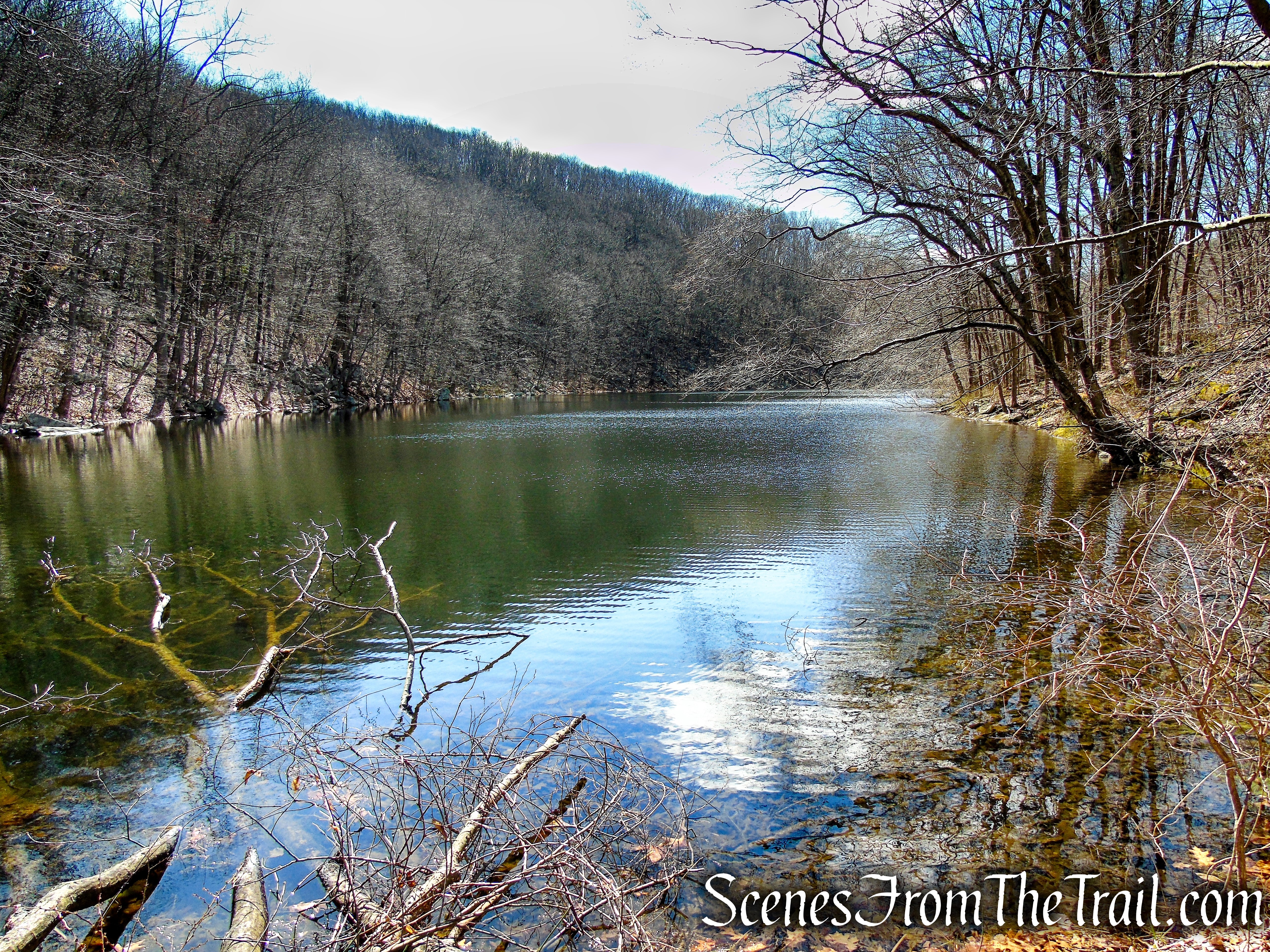 Back Pond - Tarrywile Park