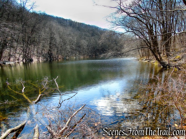 Back Pond - Tarrywile Park