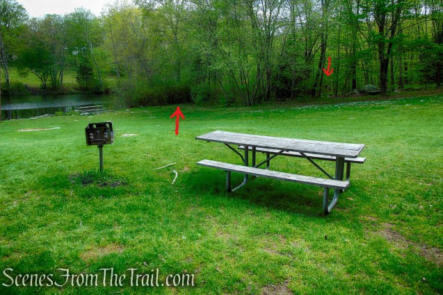 picnic table and grill near picnic pavilion
