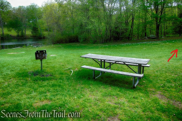 picnic table and grill near picnic pavilion