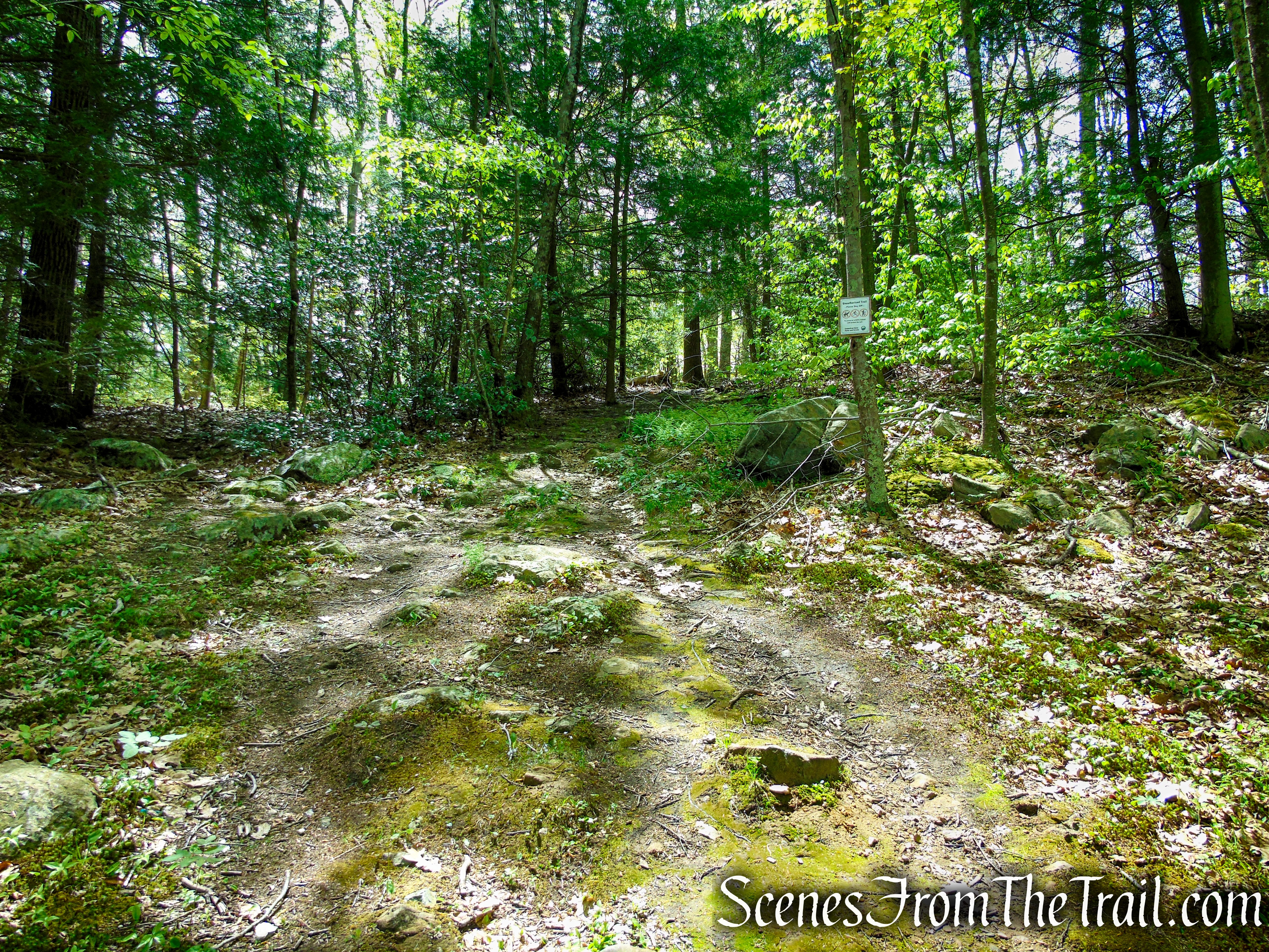 Red Trail - Southford Falls State Park