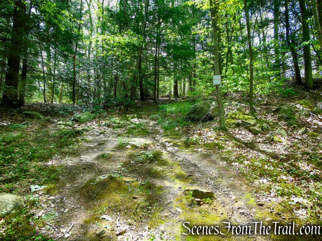 Red Trail - Southford Falls State Park