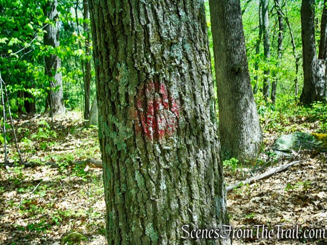 Red Trail - Southford Falls State Park