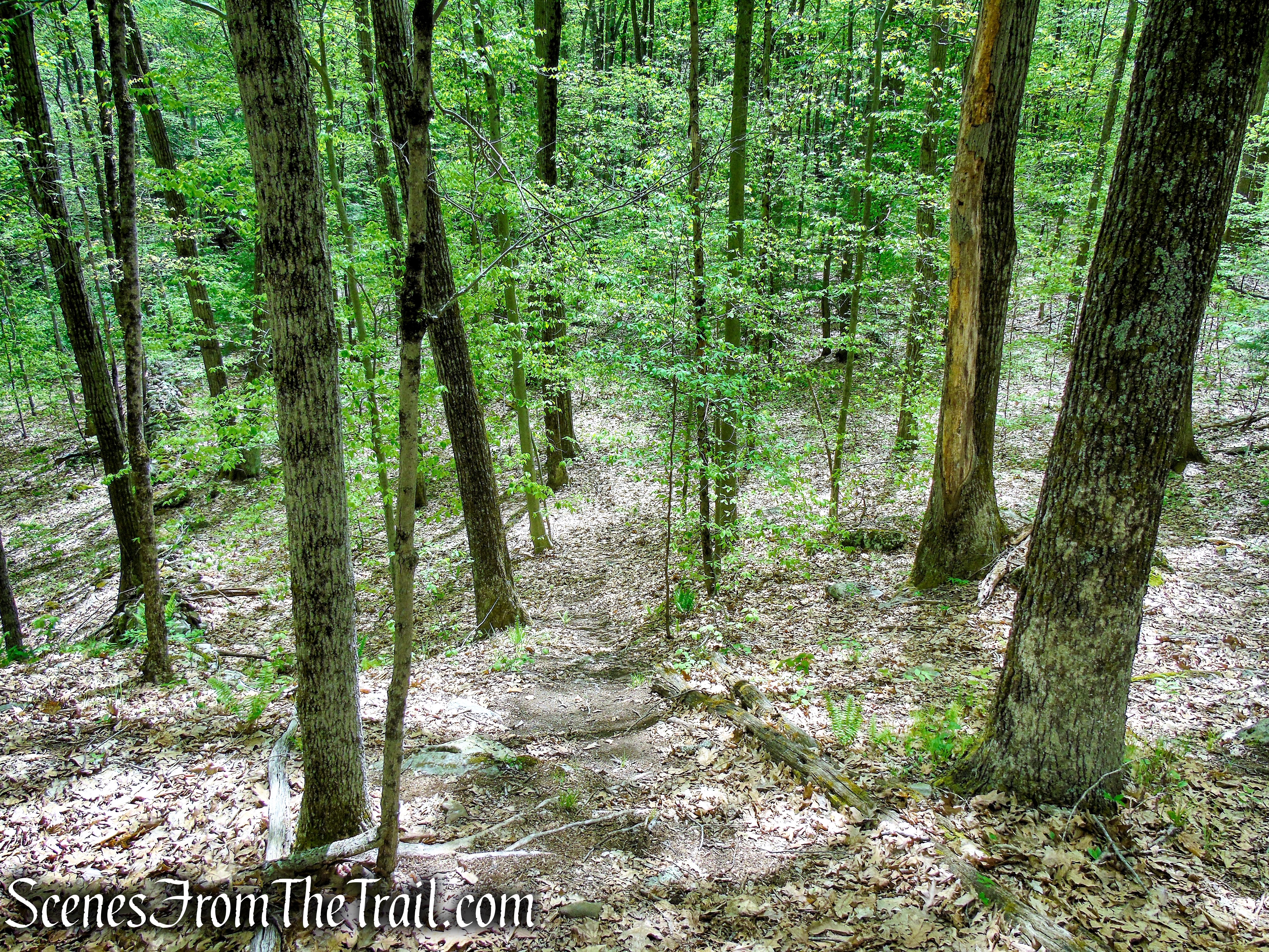 Red Trail - Southford Falls State Park