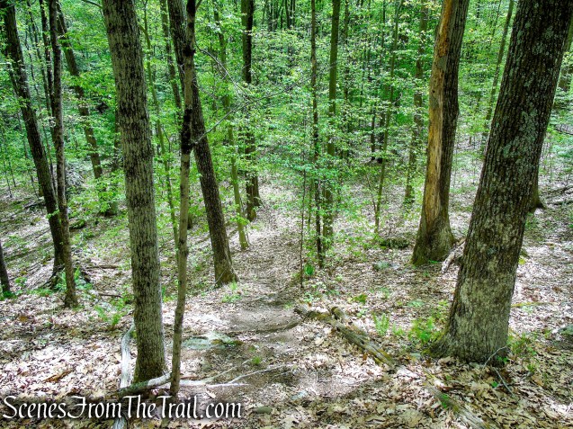 Red Trail - Southford Falls State Park