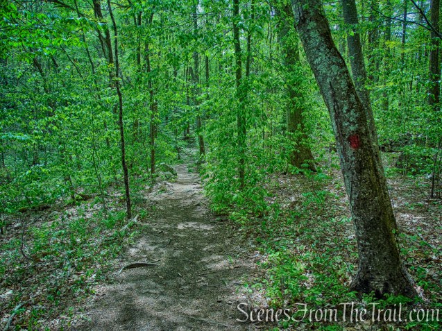 Red Trail - Southford Falls State Park