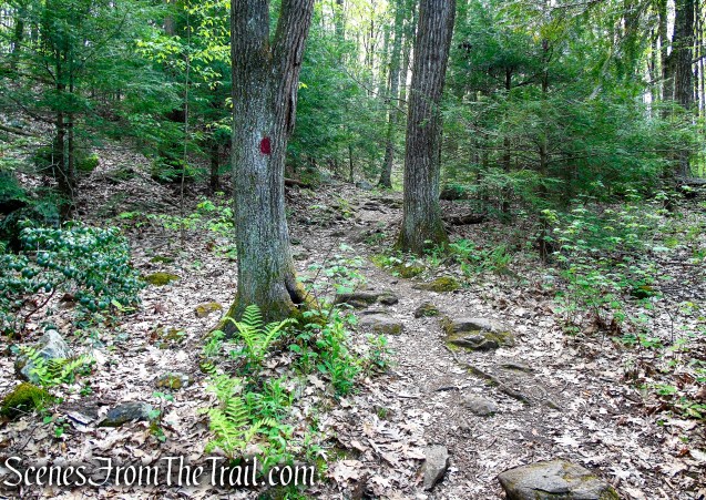 Red Trail - Southford Falls State Park