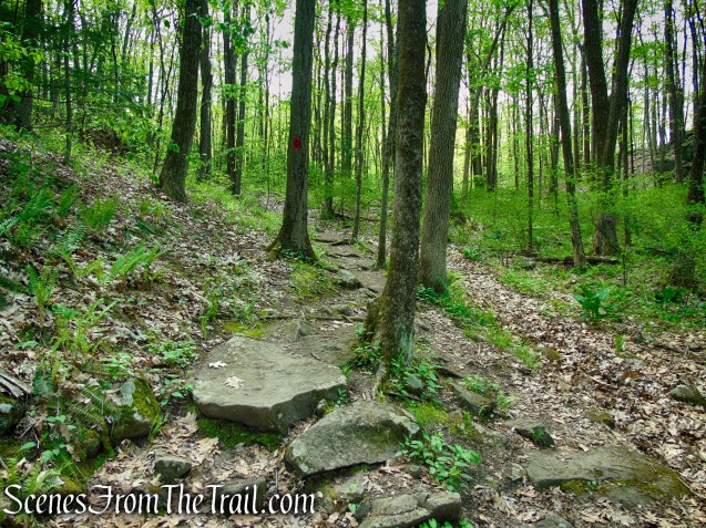 Red Trail - Southford Falls State Park