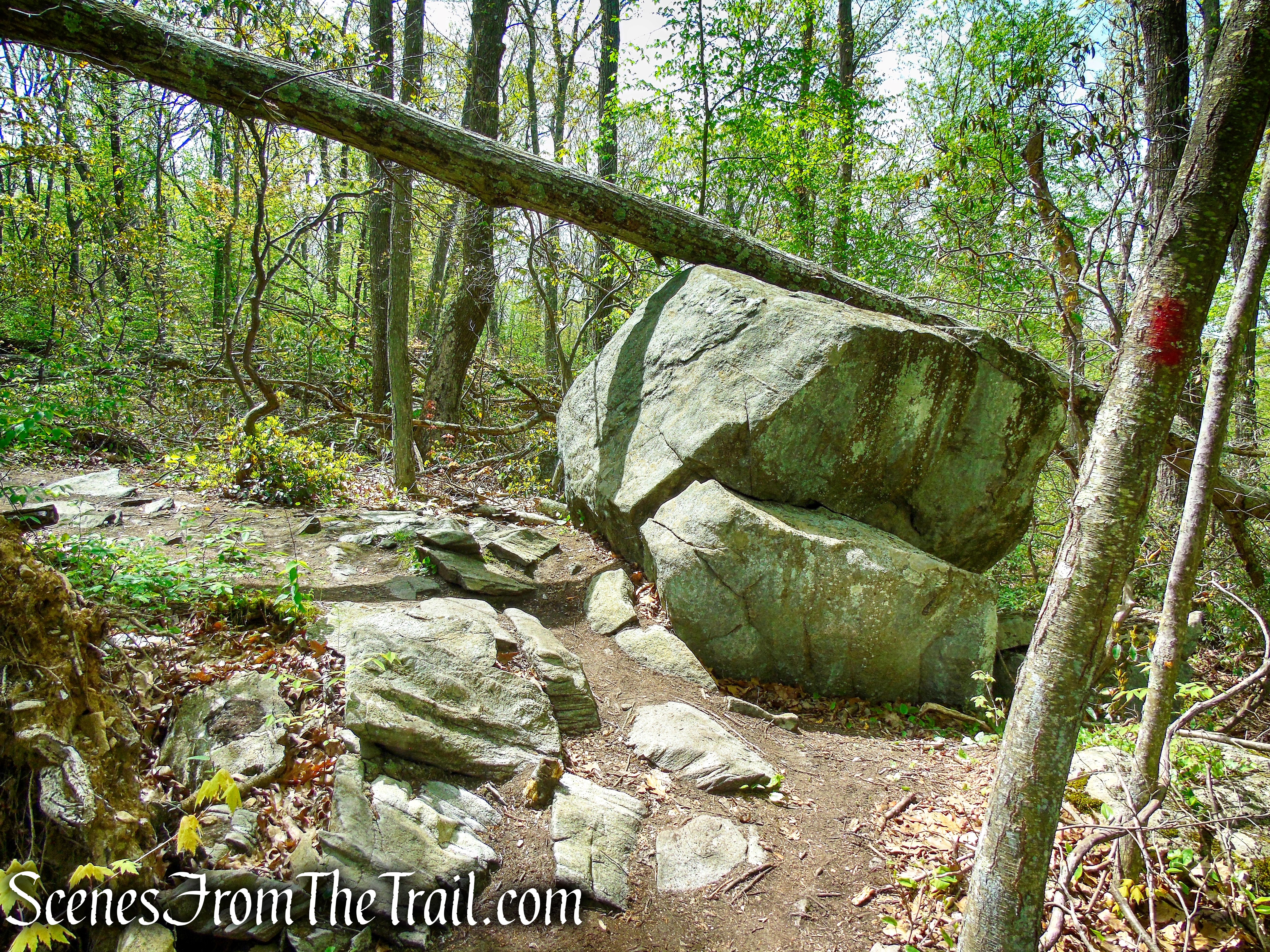 Red Trail - Southford Falls State Park