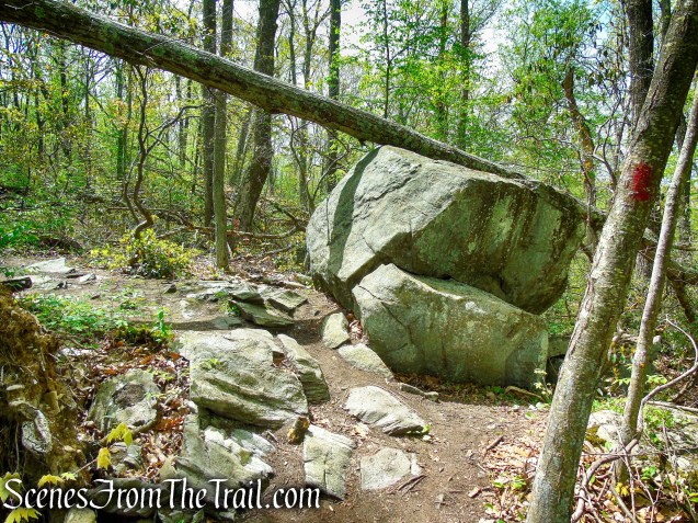 Red Trail - Southford Falls State Park