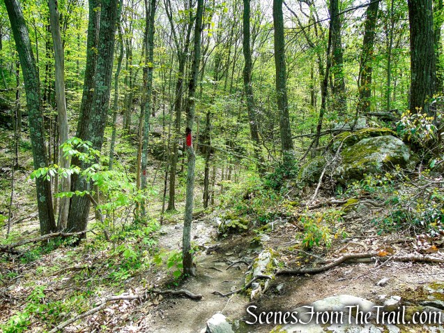 Red Trail - Southford Falls State Park