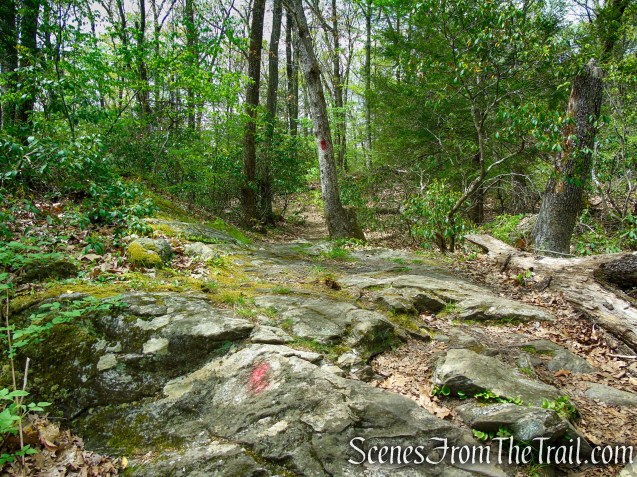 Red Trail - Southford Falls State Park
