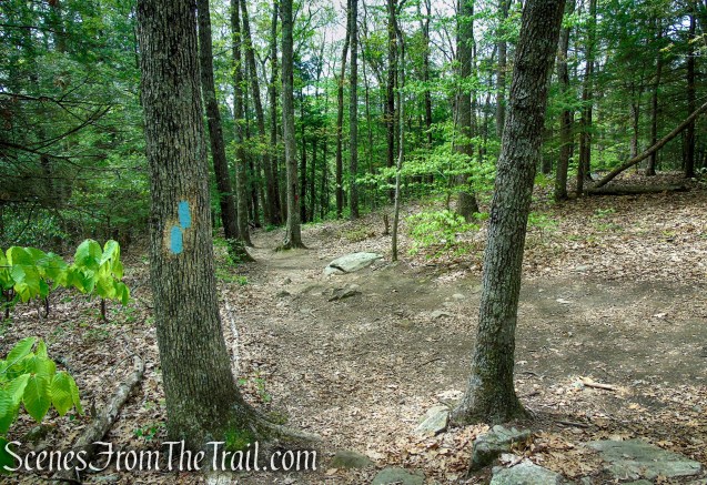 Tower Trail - Southford Falls State Park