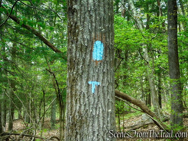 Tower Trail - Southford Falls State Park