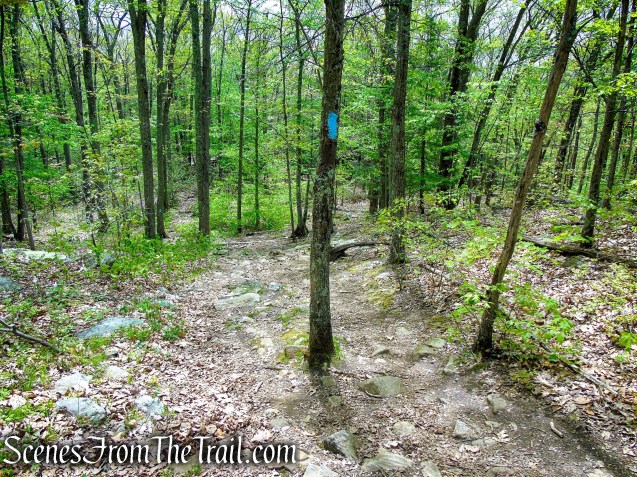 Tower Trail - Southford Falls State Park