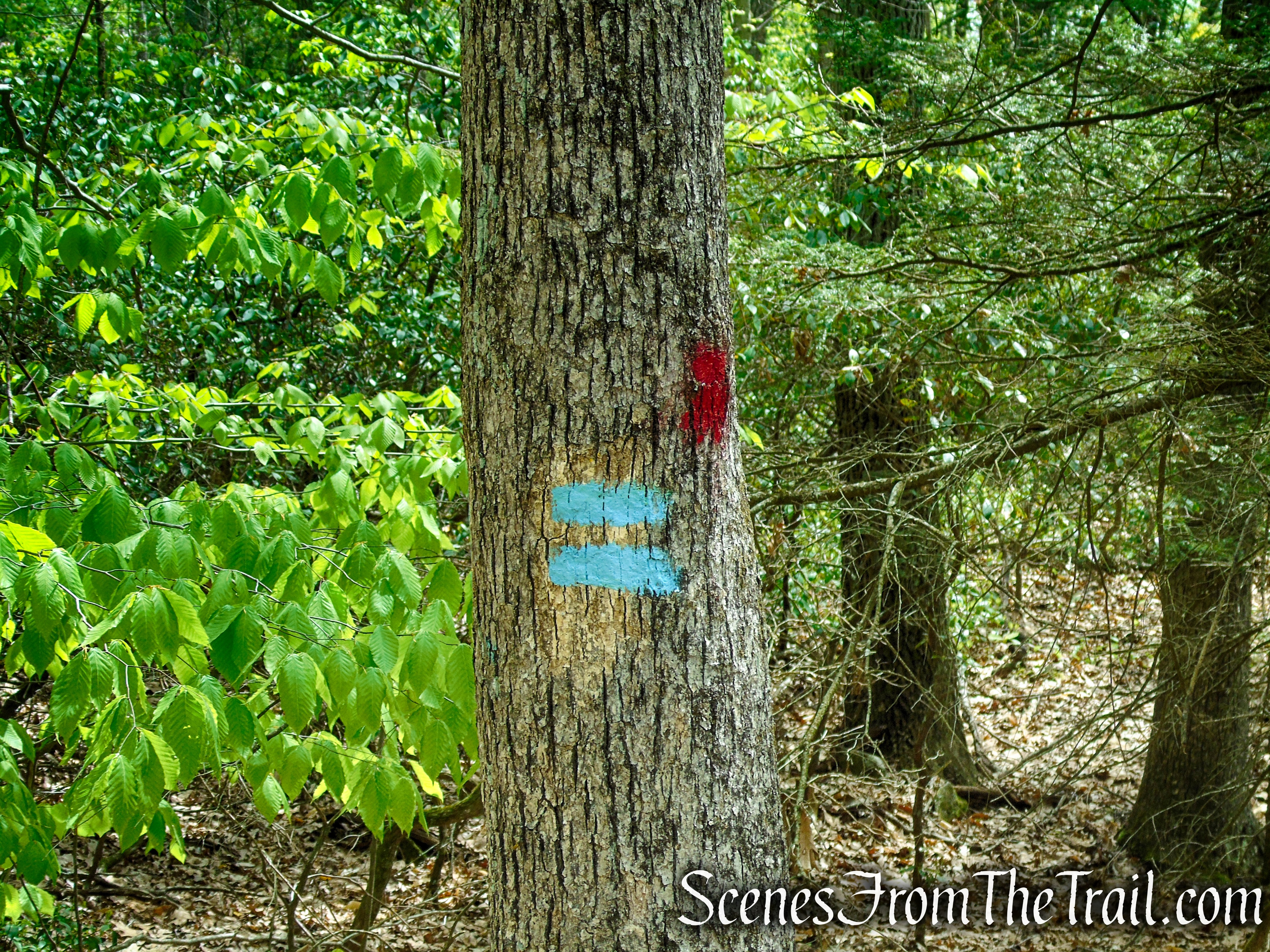 terminus of Tower Trail - Southford Falls State Park
